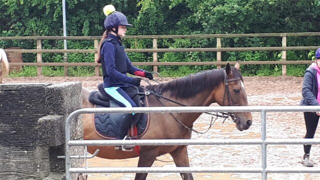 Ballynahinch Riding Centre