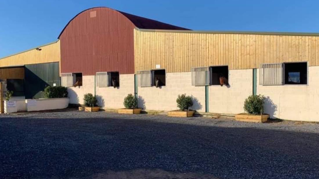 Balrathboyne stud.