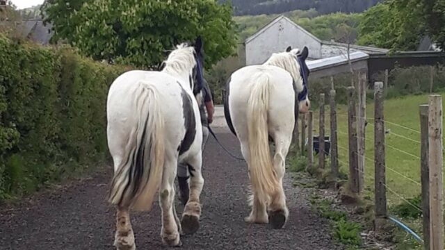 Birr House Riding Centre