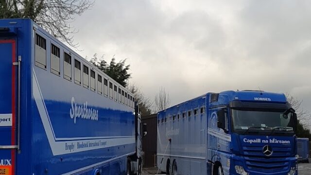 Brophy Bloodstock International Transport