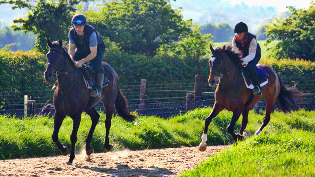 Deravarra Equine Clinic