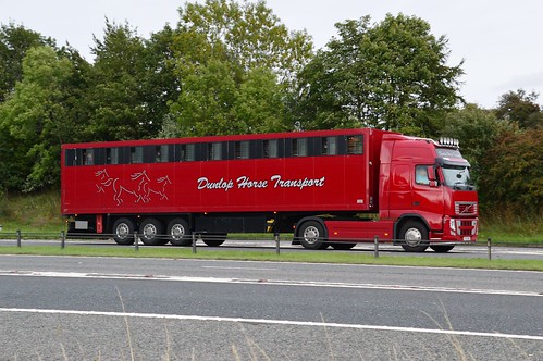 Dunlop Horse Transport Ltd