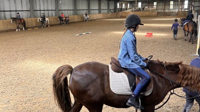 Gransha Equestrian Centre