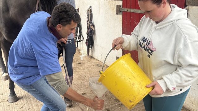 Kr Equine Veterinary Services Ltd