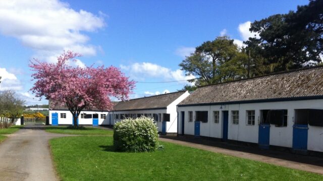 Lisieux Stud