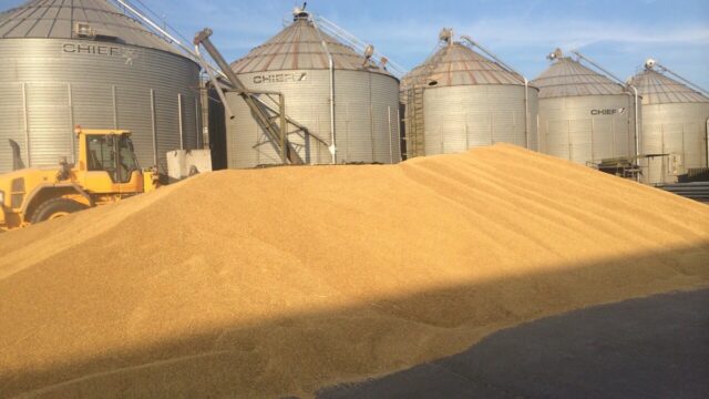 McAuley Feeds