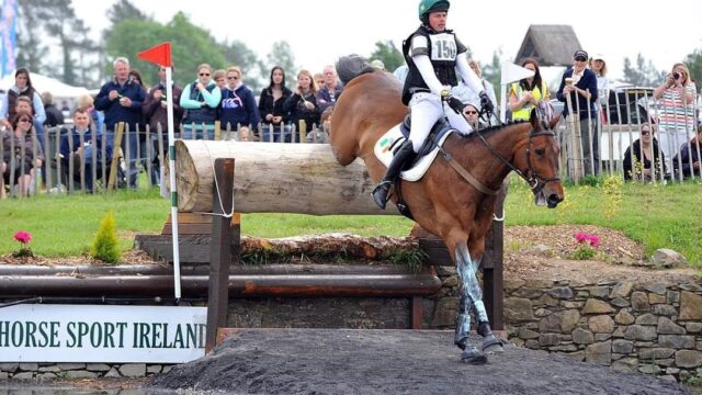 Newsam Equestrian