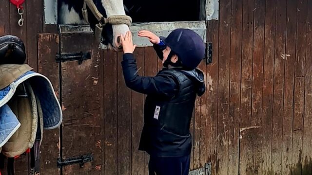 Pony Tales Ni