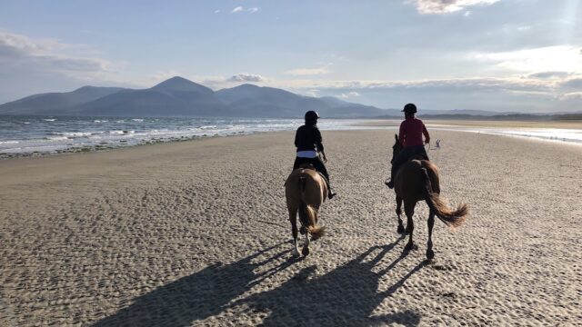 Seahorse Polo and Beach Rides