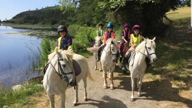 St Patrick’s Way Stables