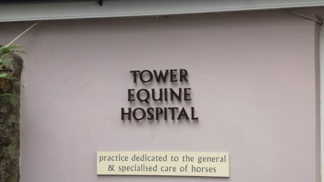 Tower Equine Hospital